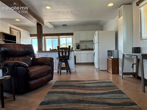 Tiny photo for 1805 Cr 1 NA, Cripple Creek, CO 80813 (MLS # 9668577)