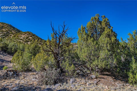 Tiny photo for 1762 Meadowdale Lane, Canon City, CO 81212 (MLS # 6600122)