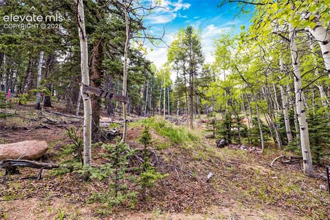 Photo of 714 Will Stutley Drive, Divide, CO 80814 (MLS # 3417276)