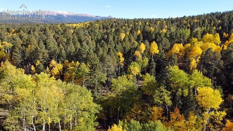 Photo of 714 Will Stutley Drive, Divide, CO 80814 (MLS # 3417276)