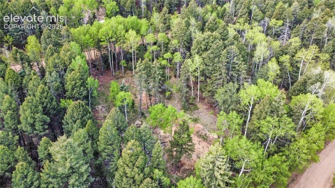 Photo of 714 Will Stutley Drive, Divide, CO 80814 (MLS # 3417276)