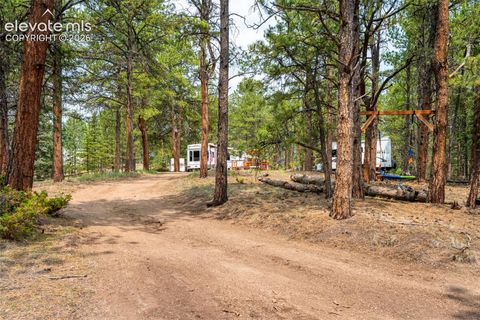 Photo of 1459 Conestoga Creek Road, Florissant, CO 80816 (MLS # 8665751)