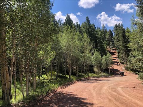 Photo of 3015 N Mountain Estates Road, Florissant, CO 80816 (MLS # 4682467)