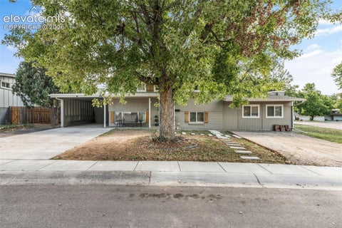 Photo of 239 Elmwood Drive, Colorado Springs, CO 80907 (MLS # 9805584)