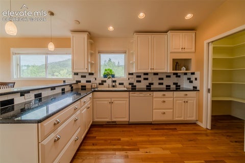 Tiny photo for 219 Dewell Road, Woodland Park, CO 80863 (MLS # 4235174)