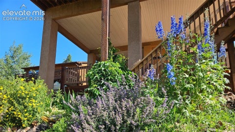 Tiny photo for 219 Dewell Road, Woodland Park, CO 80863 (MLS # 4235174)