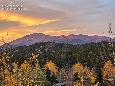 Tiny photo for 219 Dewell Road, Woodland Park, CO 80863 (MLS # 4235174)