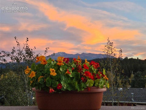 Tiny photo for 219 Dewell Road, Woodland Park, CO 80863 (MLS # 4235174)