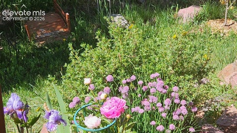 Tiny photo for 219 Dewell Road, Woodland Park, CO 80863 (MLS # 4235174)