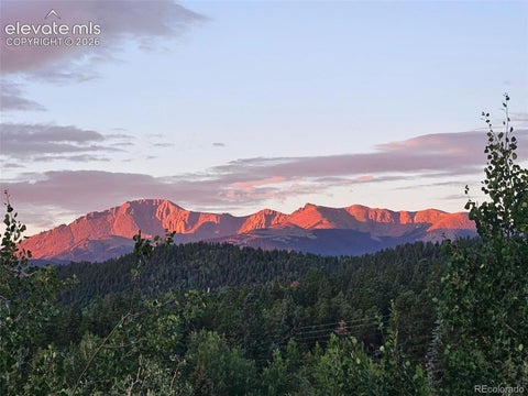 Tiny photo for 219 Dewell Road, Woodland Park, CO 80863 (MLS # 4235174)