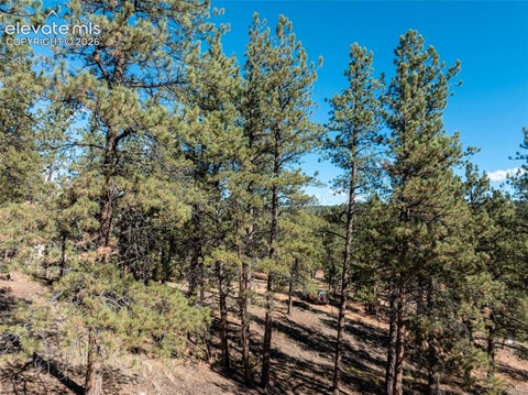 Tiny photo for 457 Stonehenge Drive, Florissant, CO 80816 (MLS # 3781533)