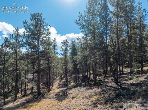 Tiny photo for 457 Stonehenge Drive, Florissant, CO 80816 (MLS # 3781533)