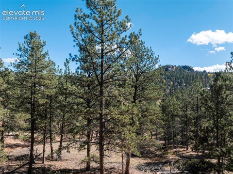Tiny photo for 457 Stonehenge Drive, Florissant, CO 80816 (MLS # 3781533)