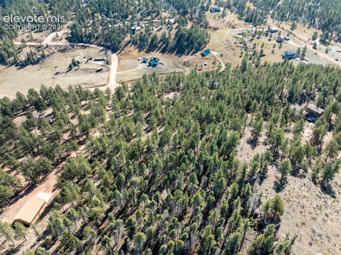 Tiny photo for 457 Stonehenge Drive, Florissant, CO 80816 (MLS # 3781533)