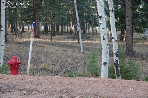 Photo of 1360 Windflower Lane, Woodland Park, CO 80863 (MLS # 1782716)