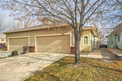 Photo of 1016 Samuel Point, Colorado Springs, CO 80906 (MLS # 6092689)