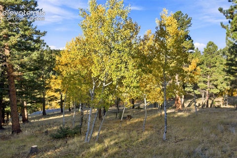Tiny photo for 138 Valley Crest Circle, Florissant, CO 80816 (MLS # 6650882)