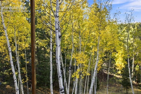 Tiny photo for 138 Valley Crest Circle, Florissant, CO 80816 (MLS # 6650882)