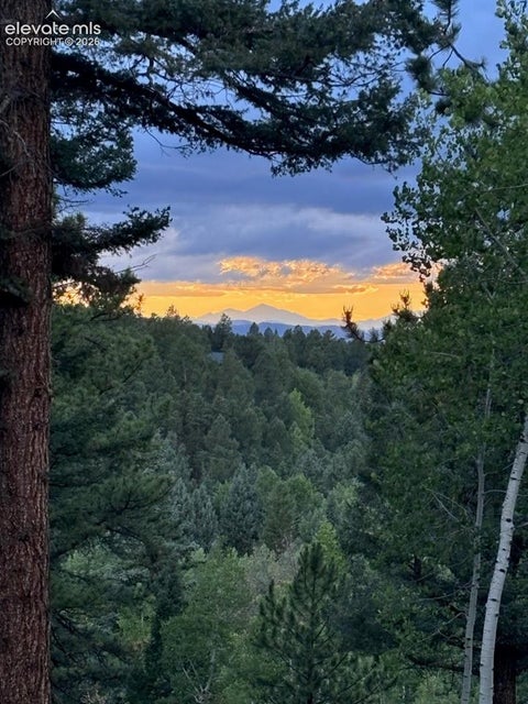 Tiny photo for 138 Valley Crest Circle, Florissant, CO 80816 (MLS # 6650882)