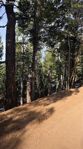 307 Tillicum Trail