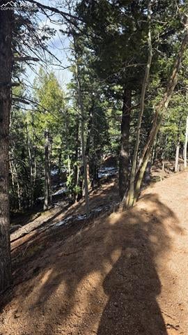 307 Tillicum Trail