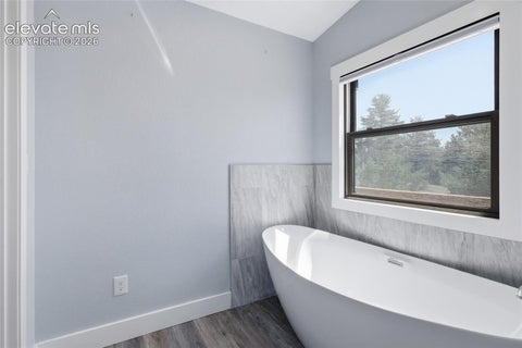 Tiny photo for 3000 Wildhorn Road, Florissant, CO 80816 (MLS # 9155544)