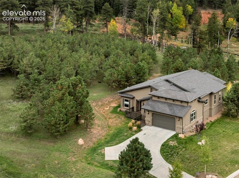 Tiny photo for 1110 Highlands Court, Woodland Park, CO 80863 (MLS # 9405528)