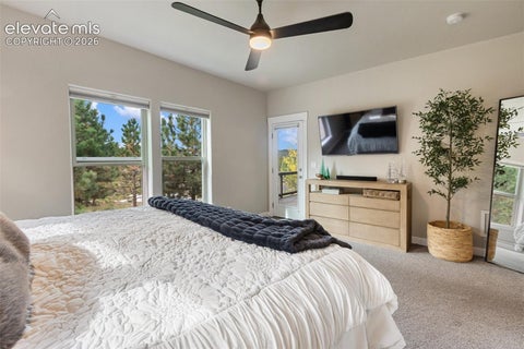 Tiny photo for 1110 Highlands Court, Woodland Park, CO 80863 (MLS # 9405528)