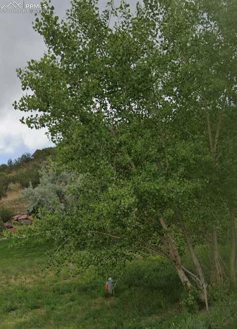 Photo of 1223 Ethereal Circle, Colorado Springs, CO 80904 (MLS # 8449611)