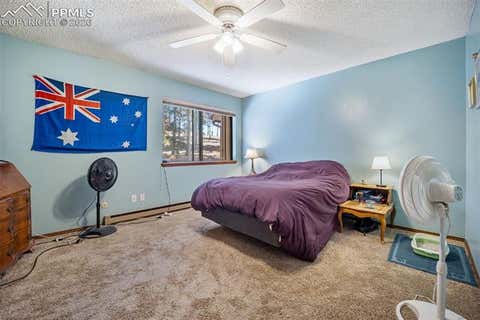Tiny photo for 554 Manor Court #C, Woodland Park, CO 80863 (MLS # 3417661)