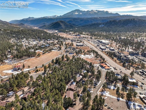 Tiny photo for 554 Manor Court #C, Woodland Park, CO 80863 (MLS # 3417661)