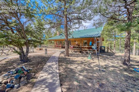 Photo of 4701 County Road 323, Westcliffe, CO 81252 (MLS # 5225603)