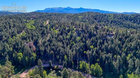 Photo of 776 Spring Valley Lane, Florissant, CO 80816 (MLS # 4339467)