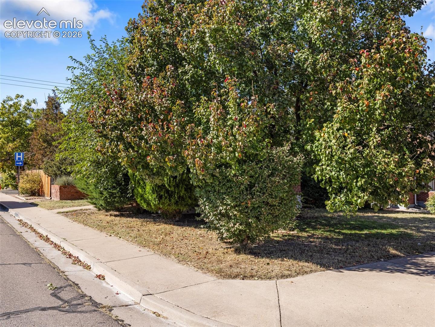 2037 Cedar Street
