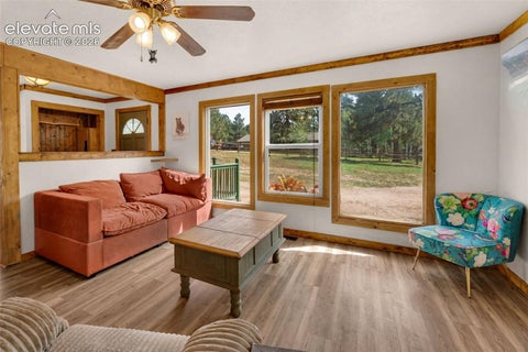 Tiny photo for 1850 Navajo Trail, Woodland Park, CO 80863 (MLS # 9627431)