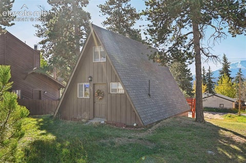 Tiny photo for 207 E Lake Avenue, Woodland Park, CO 80863 (MLS # 6445259)