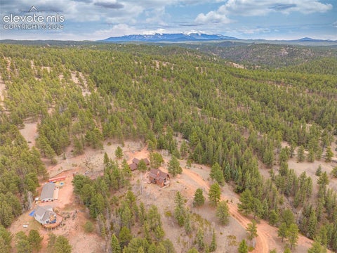 Tiny photo for 1736 COUNTY ROAD 3 Road, Florissant, CO 80816 (MLS # 7162113)