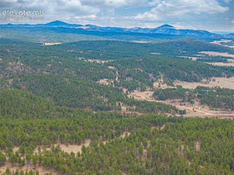 Tiny photo for 1736 COUNTY ROAD 3 Road, Florissant, CO 80816 (MLS # 7162113)