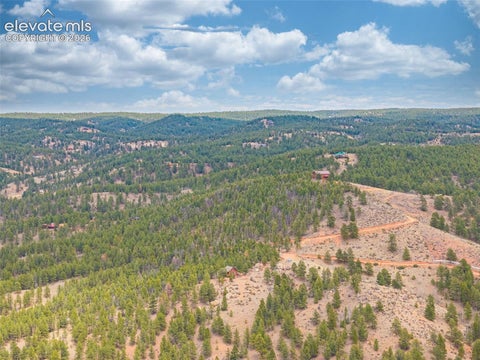 Tiny photo for 1736 COUNTY ROAD 3 Road, Florissant, CO 80816 (MLS # 7162113)