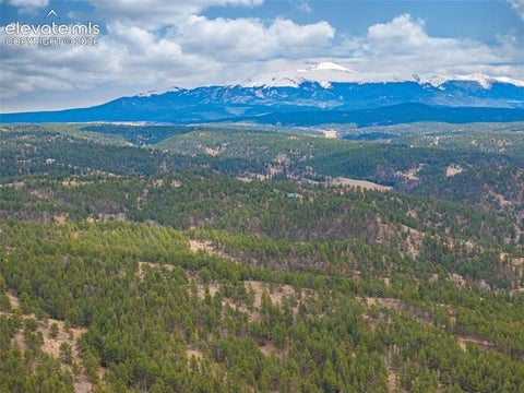Tiny photo for 1736 COUNTY ROAD 3 Road, Florissant, CO 80816 (MLS # 7162113)