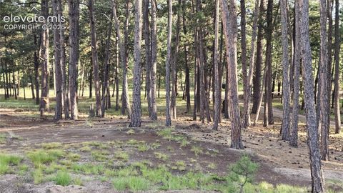 Tiny photo for 7220 McShane Road, Colorado Springs, CO 80908 (MLS # 5547292)