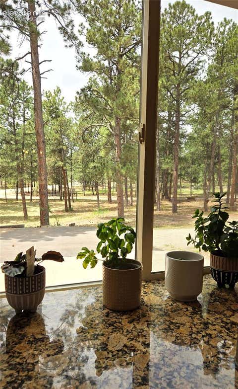 Tiny photo for 7220 McShane Road, Colorado Springs, CO 80908 (MLS # 5547292)