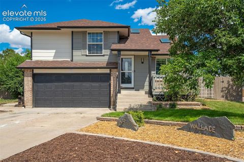 Photo of 205 Wallace Street, Colorado Springs, CO 80911 (MLS # 3662957)