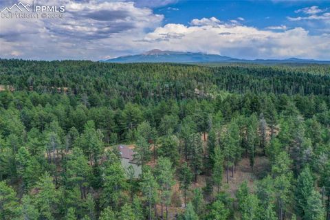 Photo of 449 Woody Creek Road, Florissant, CO 80816 (MLS # 2881125)
