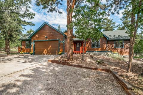 Photo of 1087 Tenderfoot Drive, Larkspur, CO 80118 (MLS # 6282652)