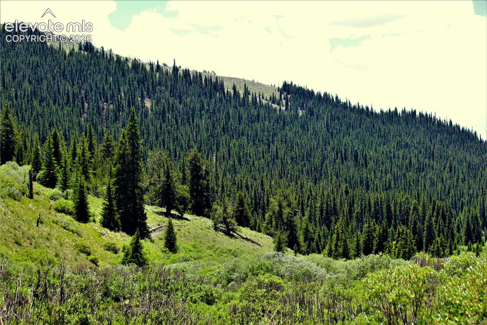 3956 FS 659 Road