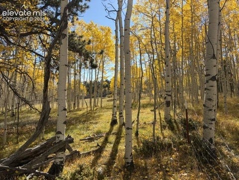 Photo of 417 Aspen Way Drive, Florissant, CO 80816 (MLS # 6046685)