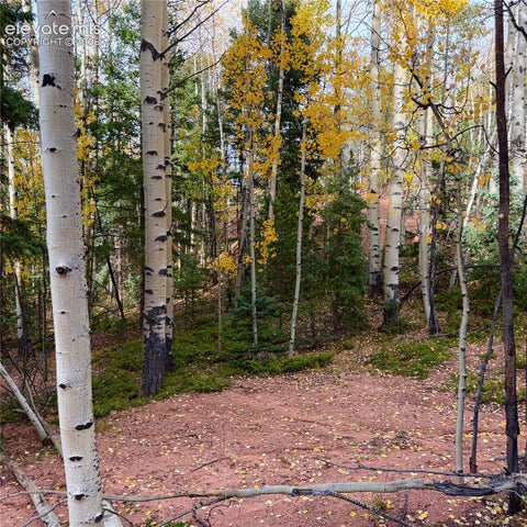 Photo of 1341 Calcite Drive, Divide, CO 80814 (MLS # 4259293)