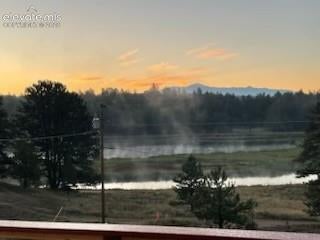 Tiny photo for 925 Midland Court, Lake George, CO 80827 (MLS # 6764373)