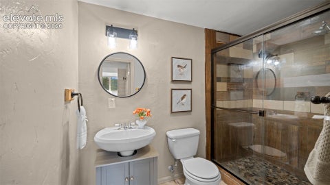 Tiny photo for 925 Midland Court, Lake George, CO 80827 (MLS # 6764373)